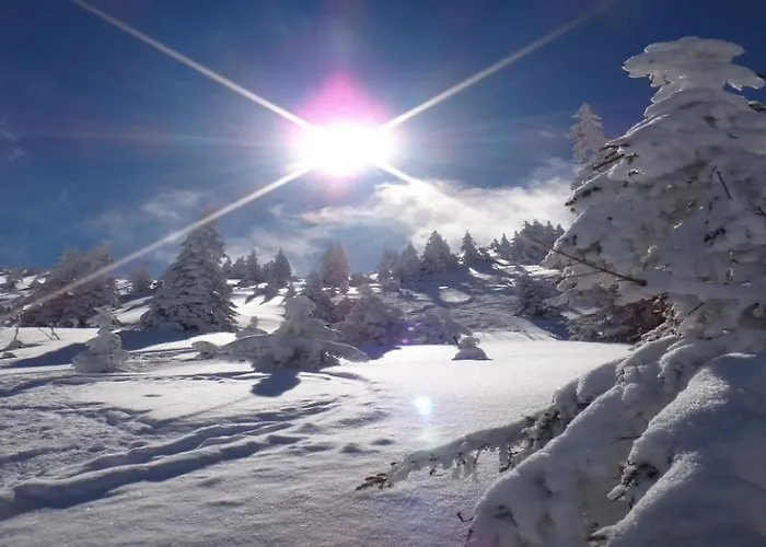 Weinberg T1 & T2 By Managers *