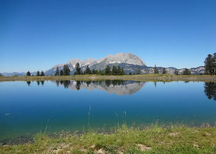 Weinberg T1 & T2 By Managers